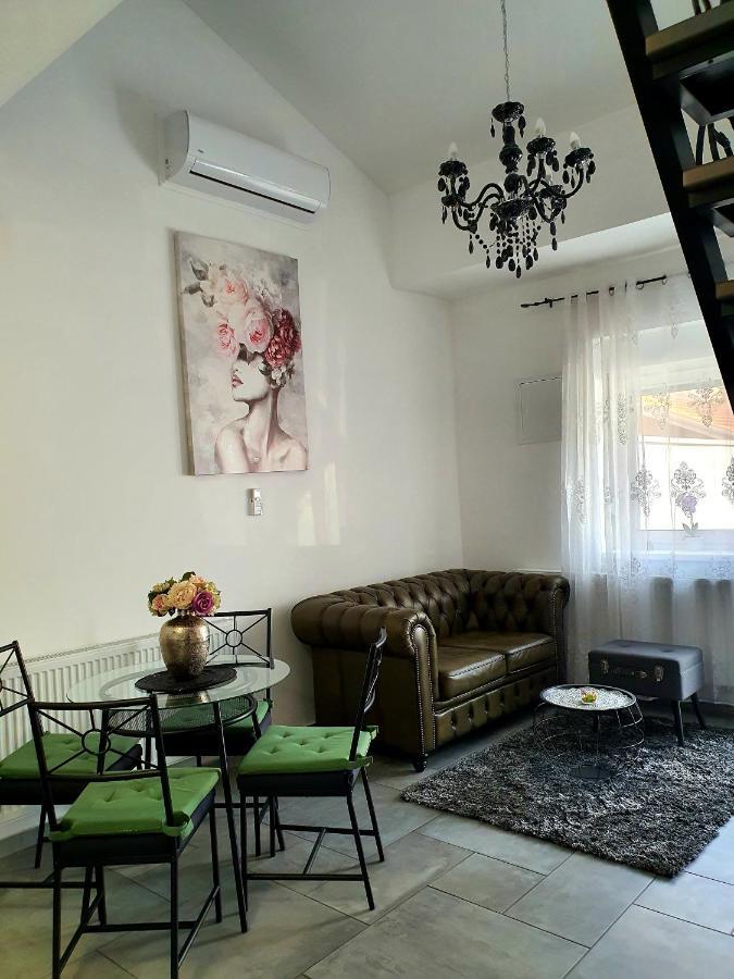 Luxury Apartment